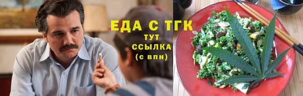 соль ск Инсар