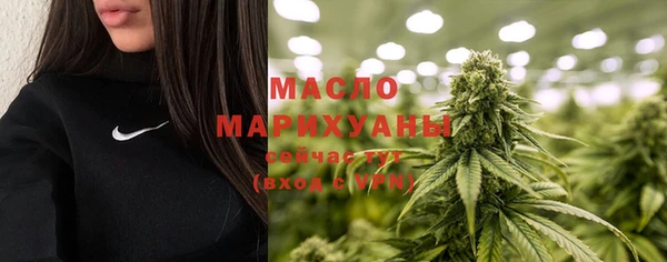 соль ск Инсар