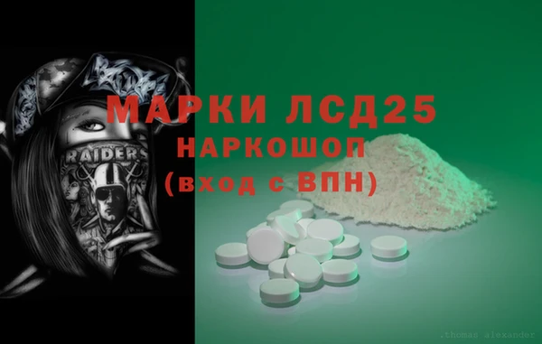 соль ск Инсар