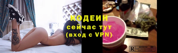 соль ск Инсар