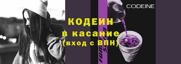 соль ск Инсар