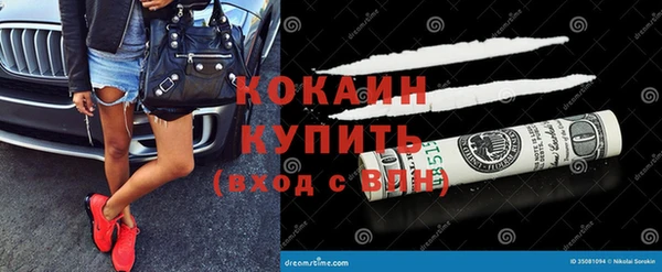 соль ск Инсар