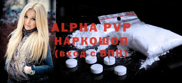 соль ск Инсар