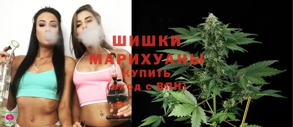 соль ск Инсар